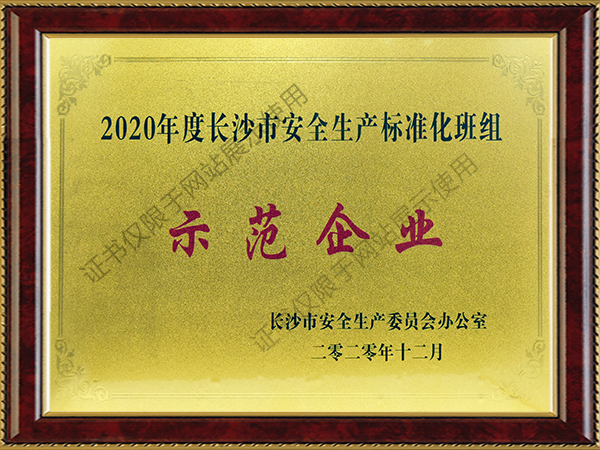 長沙市安全生產(chǎn)標(biāo)準(zhǔn)化班組示范企業(yè)