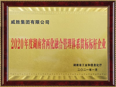 湖南省兩地融合管理體系貫標標桿企業(yè)