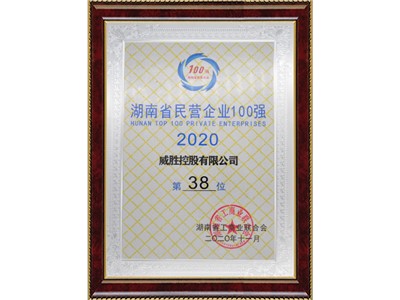 湖南省民營(yíng)企業(yè)100強(qiáng)第38位