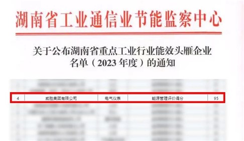 喜訊|威勝集團(tuán)上榜湖南省能效“頭雁”企業(yè)名單