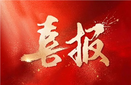 喜報(bào)|威勝集團(tuán)中標(biāo)國(guó)家電網(wǎng)項(xiàng)目，總中標(biāo)金額超1.15億元，行業(yè)排名第一！