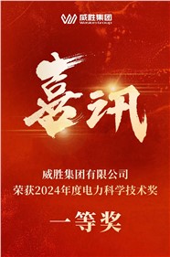 喜訊 | 威勝集團榮獲 2024 年度電力科學(xué)技術(shù)一等獎