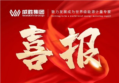 排名第一！威勝集團(tuán)2024年中標(biāo)國(guó)網(wǎng)總部集中招標(biāo)采購(gòu)項(xiàng)目總金額達(dá)5.97億元！